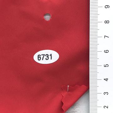 6731 Red
