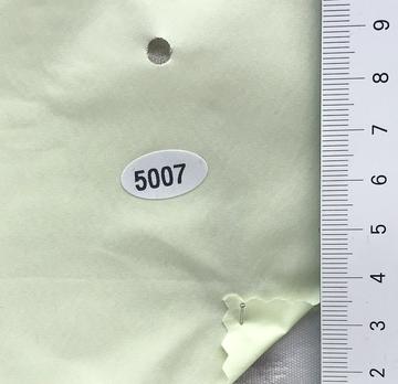 5007 Pale Green