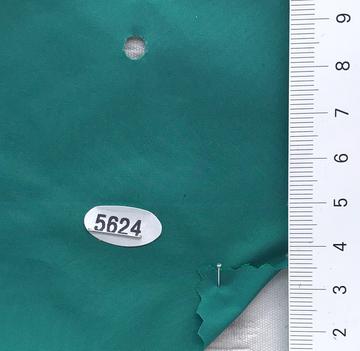 5624 Turquoise