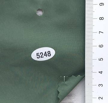 5248 Deep Green