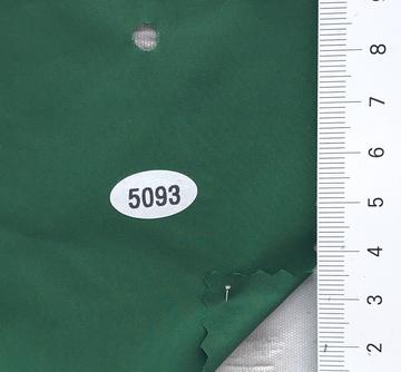 5093 Green