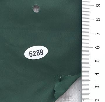5289 Deep Green