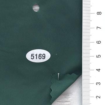 5169 Deep Green