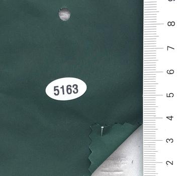 5163 Deep Green