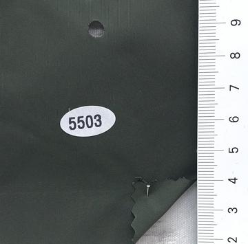 5503 Deep Green