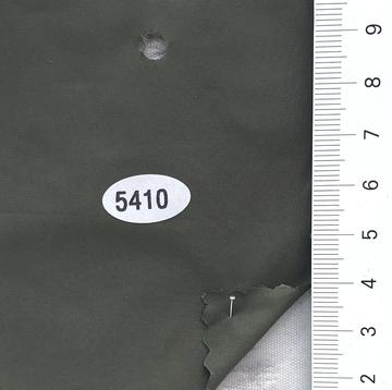 5410 Deep Green