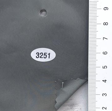 3251 Gray