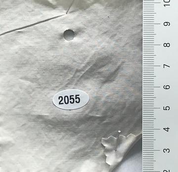 2055 Ivory