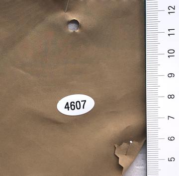 4607 Camel