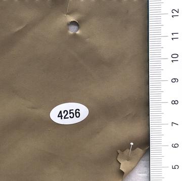 4256 Camel