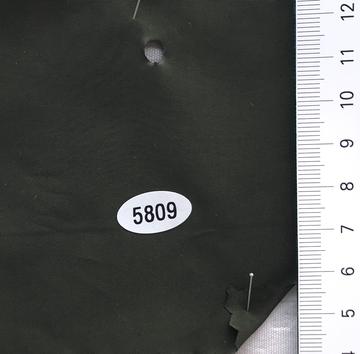 5809 Deep Green