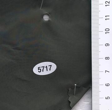 5717 Deep Green