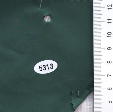 5313 Deep Green