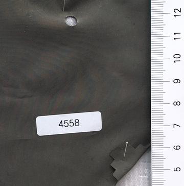 4558 Deep Green