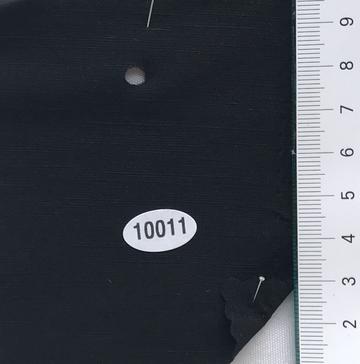10011 Black