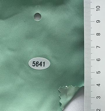 5641 Pale Green