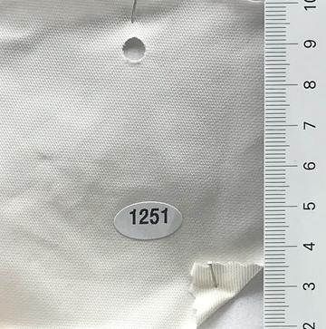 1251 Ivory