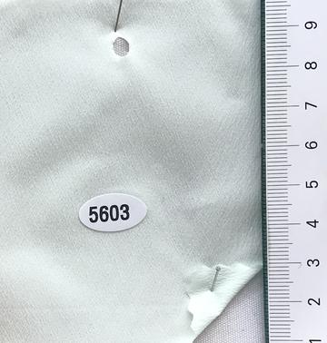 5603 Pale Green