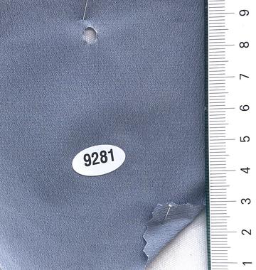 9281 Blue
