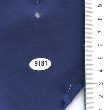 9181 Blue