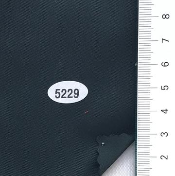5229 Turquoise