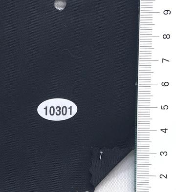 10301 Black