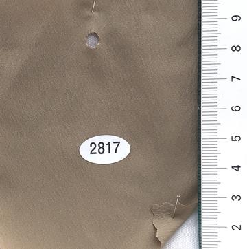 2817 Beige
