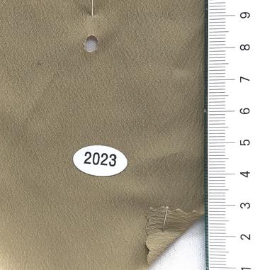 2023 Beige