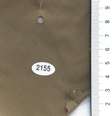 2155 Camel