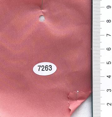 7263 Pale Orange