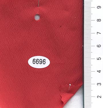 6696 Red