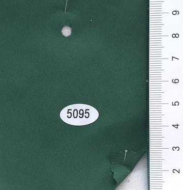 5095 Green