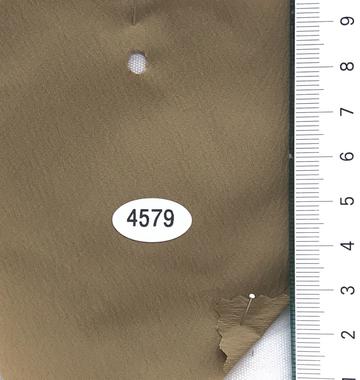 4579 Camel