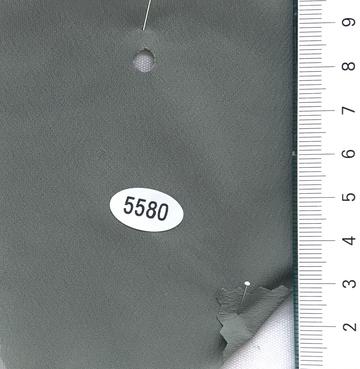 5580 Deep Green