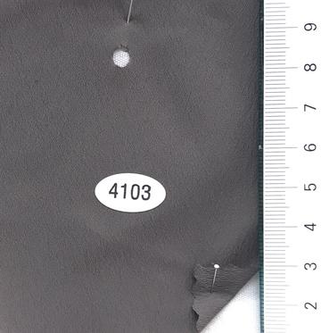4103 Brown