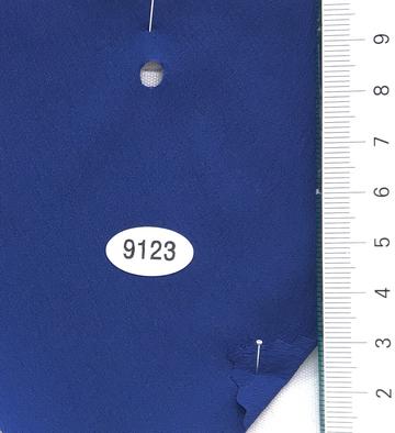 9123 Blue