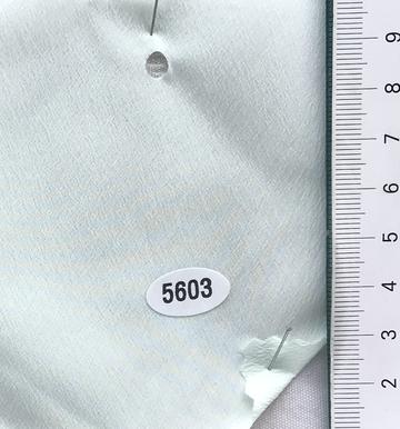 5603 Pale Green