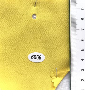 6069 Yellow