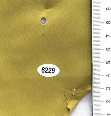 6229 Yellow
