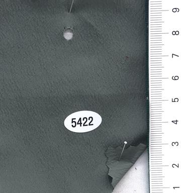 5422 Deep Green