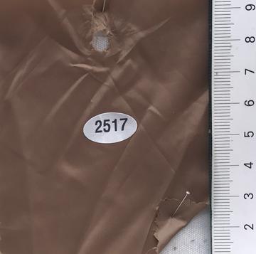 2517 Brown