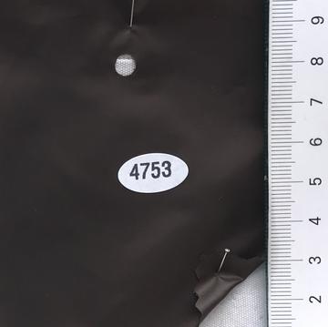 4753 Brown