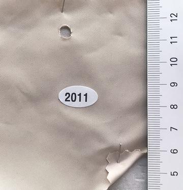 2011 Beige