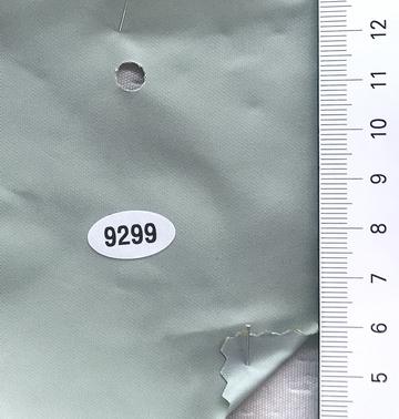 9299 Pale Green