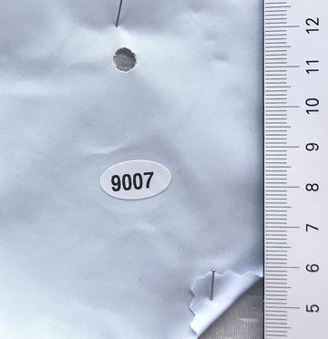 9007 Pale Blue