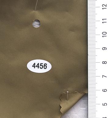 4456 Camel