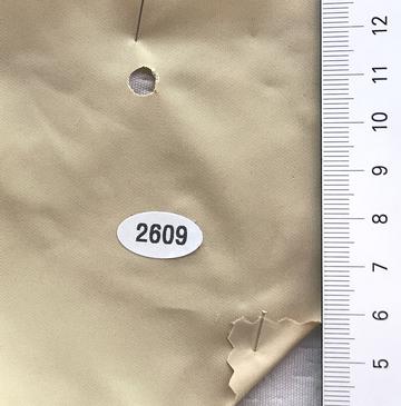 2609 Beige