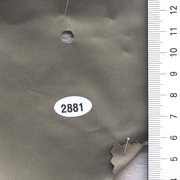 2881 Beige