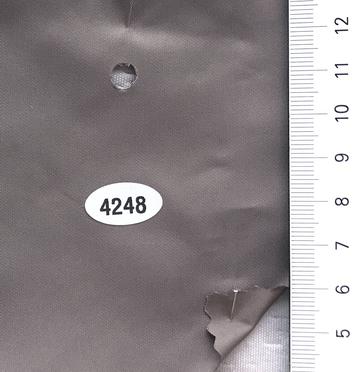 4248 Gray