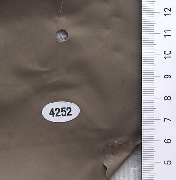 4252 Brown